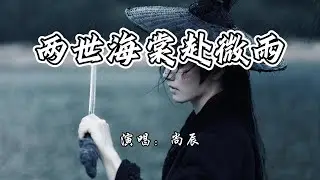 尚辰 - 两世海棠赴微雨『世世错肩 谁在承认，句句回文 都是我们。』【4K无损|动态歌词 Lyrics】