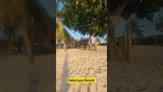 Savaii Aulelei