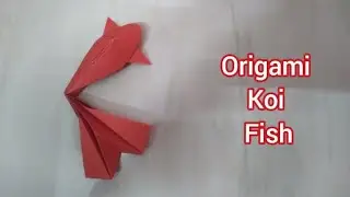 Origami Koi Fish Tutorial: How To Make a Paper Koi Fish Step by Step