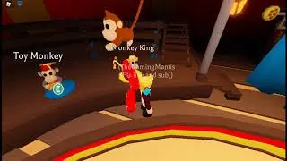 opening premium monkey boxes😀