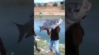 check this before buying a fish