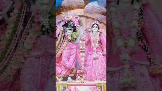 Jay Shri Radha Madhab Darshan/Iskcon Mayapur Temple 🙏🙏#shorts #krishna #radhashyamsundar #god #shyam