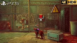 STRAY (PS5) Chapter 5: Rooftops Walkthrough (4K HDR)