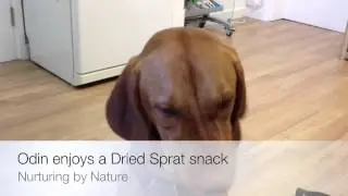 Dried Sprats