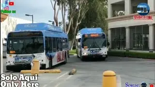 Oc Bus Route #59 😎 Coming Soon 😎