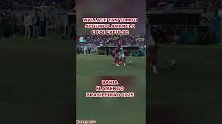 2&ordf; EXPULS&Atilde;O DO FLAMENGO | WALLACE YAN FOI EXPULSO | Bahia x Flamengo | Brasileir&atilde;o 2025 #flamengo