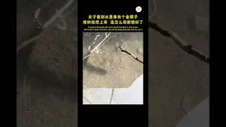 怪不得早就有树枝, 原来有人捞过了 😅 #shorts #viral #分享 #奇葩 #短视频 #社会百态 #有趣 #搞笑 #人生 #金 #黄金