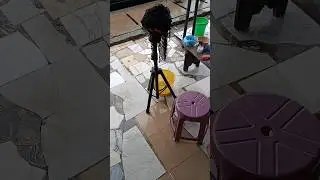 A day in my life as a wigmaker