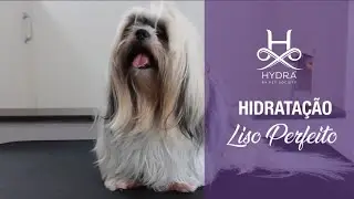 Hidrata&ccedil;&atilde;o Liso Perfeito | Hydra by Pet Society