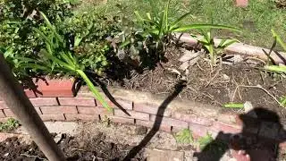 Brick Planter Repair