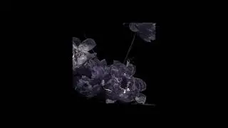 Solstic - Tell me your regrets by jades (cover)