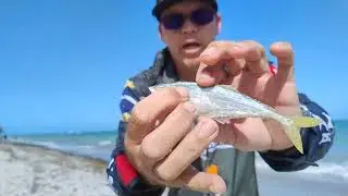 Pescaria no ponto do pampo