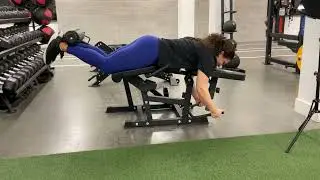 Prone hamstring curl on machine (bilateral)