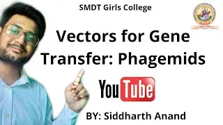 Vectors for Gene Transfer: Phagemids by Siddharth Anand #SMDTKM