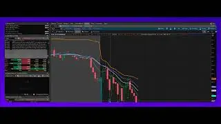 SCHWAB BROKER PLATFORM:: TSLA Trade WIN $130 SCALP