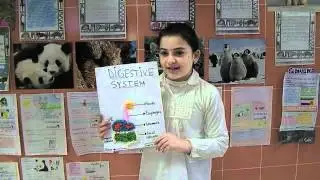 AICLE  Fourth level students explaining their Art projects after working in Art in English