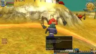 Skill Poko Priest