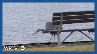 Lebanon Utilities plans pipeline to Eagle Creek Reservoir
