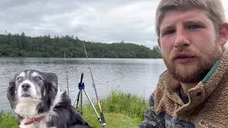 Fishing for pike and perch with 3 dogs in sw Scotland 🏴󠁧󠁢󠁳󠁣󠁴󠁿 