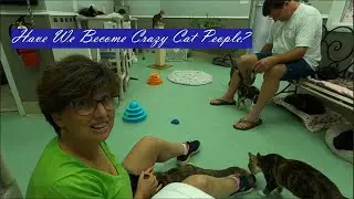 Hope for Life Rescue in Virginia Beach, Virginia