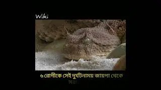 সাপ কামড়ালে কী করবেন?আসুন যেনে নেই...#venomous #venom #snake #snake_bite #wiki