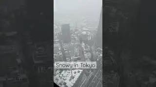 ❄️ First Snow in Tokyo - Shibuya
