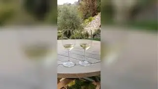 Thomas George Estates: Premier Wine Tours & Tasting in Sonoma's Russian River Valley