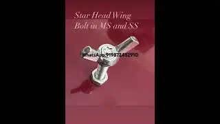 Wide Range of Butterfly Wing nut,WingBolt, Eye Bolt, EyeNut. Whatsapp:91 9872452910 #wingnut #bolt