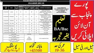 PPSC Jobs 2020 Advertisement 10 2020, 136 Zilladar Jobs, Govt Jobs 2020, How to Apply Online PPSC