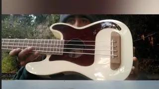 Распаковка и обзор укулеле Fender Fullerton Precision Uke Bass