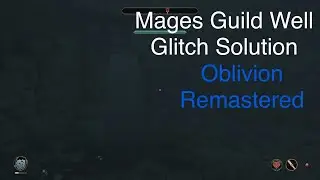Mages Guild Well Glitch Solution | Oblivion Remastered
