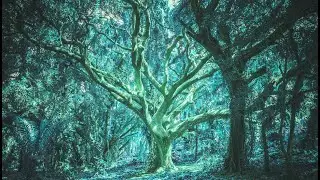 Roussinoff - Avatar / Relaxation and Stress Relief at 432Hz