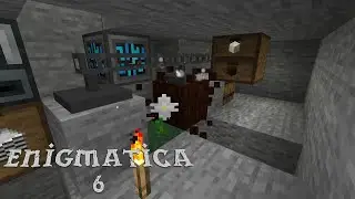rbPlays Enigmatica 6 :: Ep 21 :: Botania Living Rock & Wood Automation :: Modded Minecraft 1.16.4