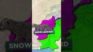 National Animals of Pakistan&rsquo;s Neighbour Countries #facts #news #trending