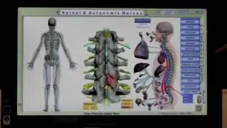 Visual Odyssey Neuropatholator Software