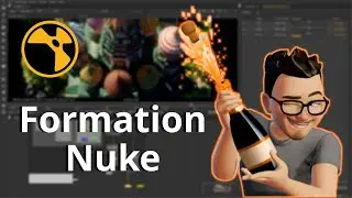 Formation Nuke I Fran&ccedil;ais