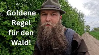 Die Goldene Regel des Waldes - Prinzipien f&uuml;r deinen Waldbesuch