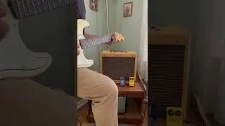 Fender Guitar & Amp #fender