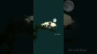 missing Vibes | love romantic whatsapp status