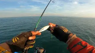 MICRO JIG 30 & 60 GRAM || ULTRALIGHT JIGGING