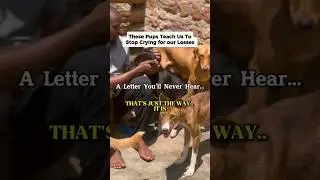 When Life Breaks You&hellip; Watch What These Dogs Do 🐾💛 #HealingThroughHope #LessonsFromDogs