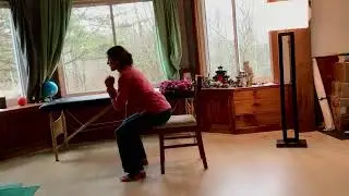 Chair Squats Or Free Standing Squats