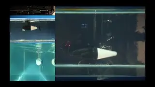 The UVA Smart Fluids Lab team builds water tank rig to study the tuna's swimming.