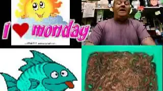 mondays weather from pleasure angling tackle shop deal kent seafront near the royal hotel
