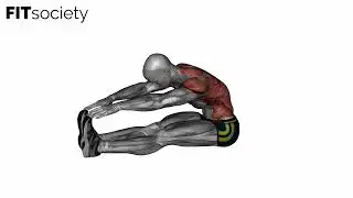 Legs Hand Reach Spine Stretch - Exercise - Fitness Oefening - Fitsociety
