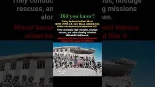 Did You Know Navy SEALs Fought One of the Deadliest Urban Battles in Mosul? #shorts #usarmy