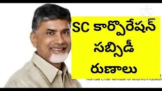 When will the new welfare scheme be launched in AP.... #andhrapradesh #welfare #scheme #sccorp