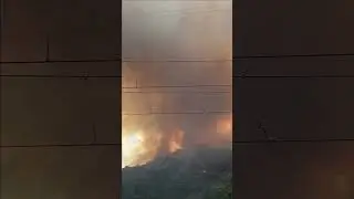 Koolewong fire: NSW Central Coast town loses homes; fire near Buldelah Sydney weather, heat worsens