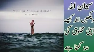 Allah Ki Madad | Islamic Whatsapp Status | 30 Sec Whatsapp Status | Hadith Of Prophet | Hadees Video