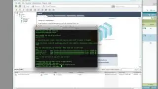 Dynamic Address Demonstration